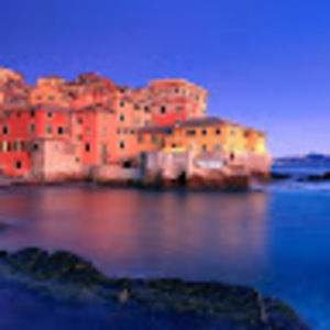 Meet your Posher, Alan